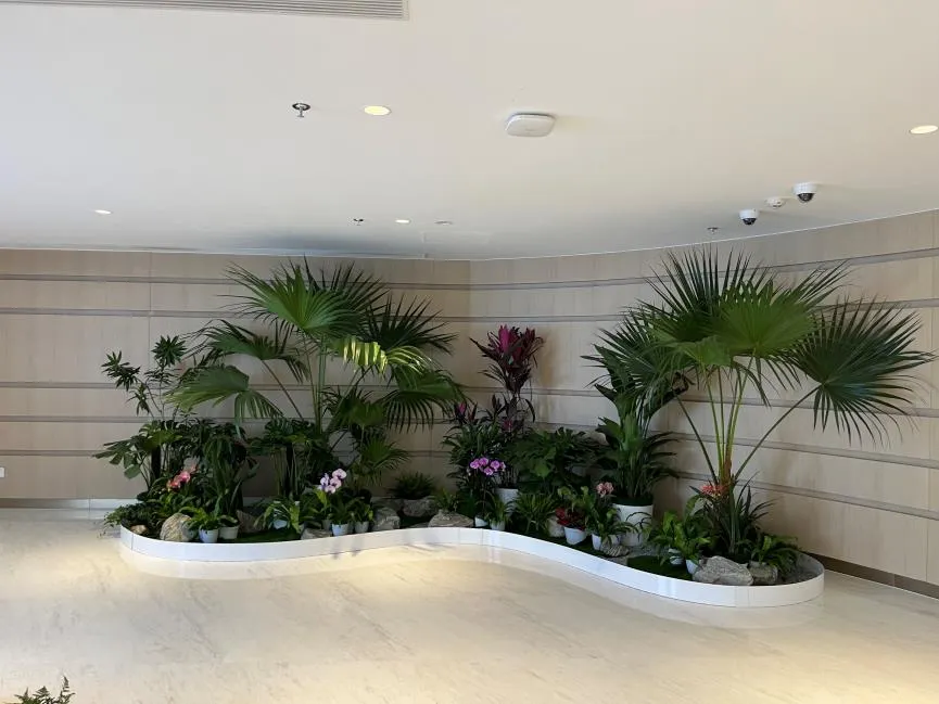 余姚绿化修剪专业